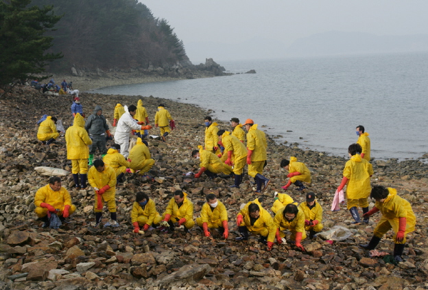 충청남도의회 태안 기름제거 봉사